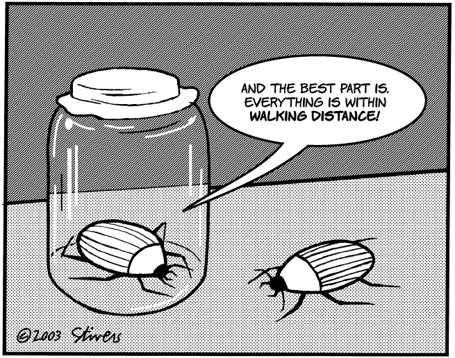 Bugs and jar